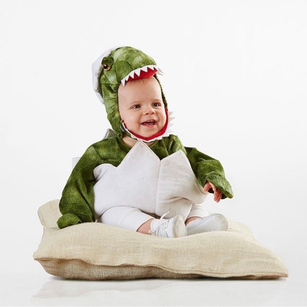 Pottery Barn Kids Green White Dino Egg Baby Costume